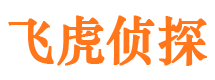 东明市侦探调查公司